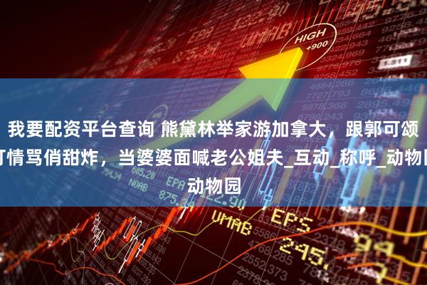 我要配资平台查询 熊黛林举家游加拿大，跟郭可颂打情骂俏甜炸，当婆婆面喊老公姐夫_互动_称呼_动物园